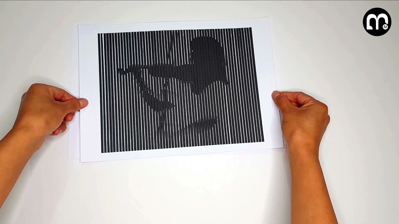 Scanimation | Ilusión Óptica | 3D | Educación Cultural y Artística.