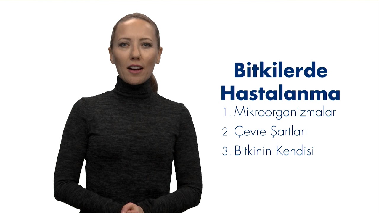 FİTOPATOLOJİ - Ünite1 - Özet