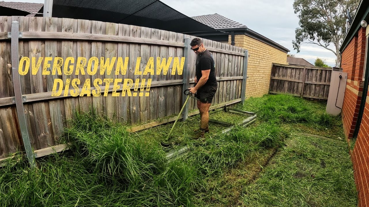 Watch This Overgrown Yard Get a Crazy Makeover!