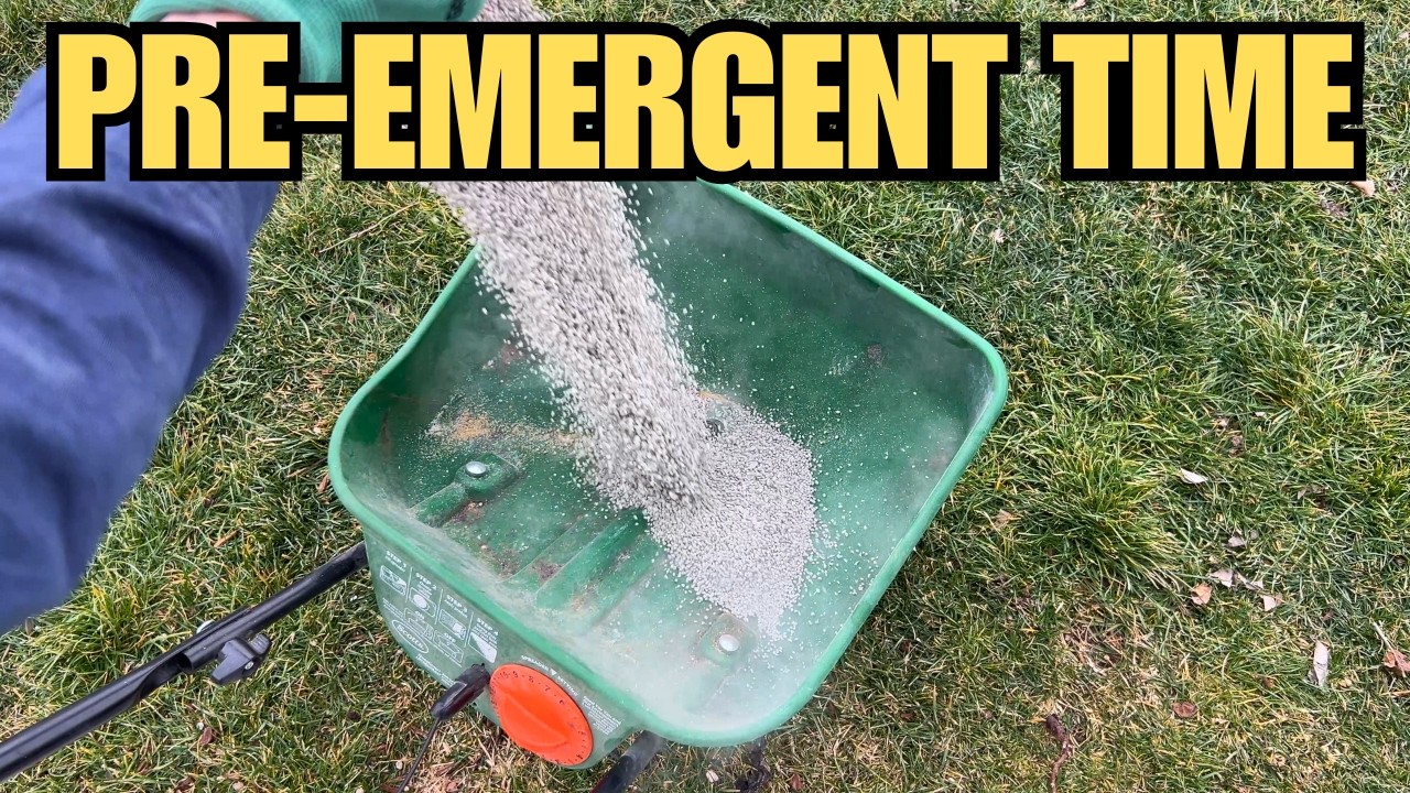 How I Prep My Lawn for Spring | Pre-Emergent & Lawn Care Tips