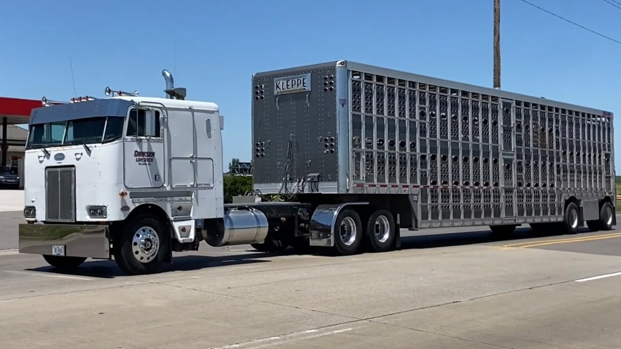 Truck Spotting at Iowa 80 Part 1. Cabovers, Train Horns, and Jake Brakes!