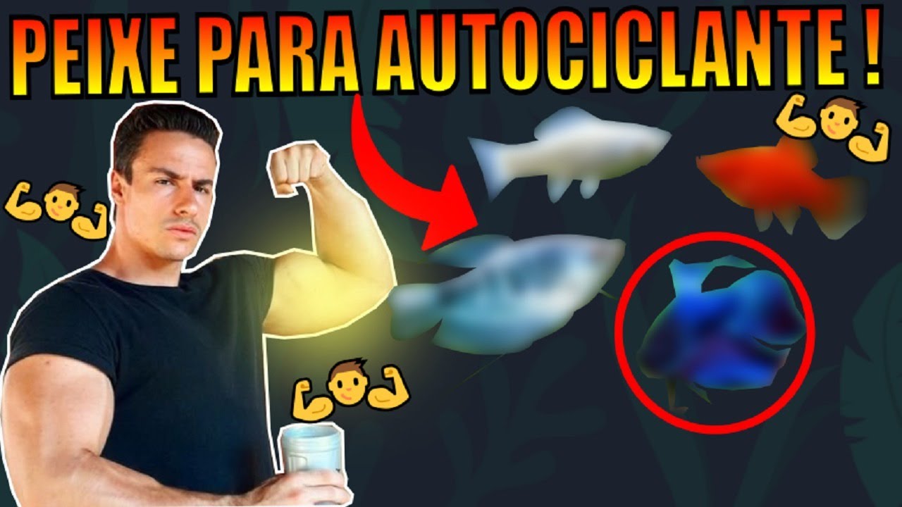 🔴TOP 5: PEIXES PRA AQU&Aacute;RIOS AUTOCICLANTES ( PLANTADO LOW TECH ) |Mr. Betta|