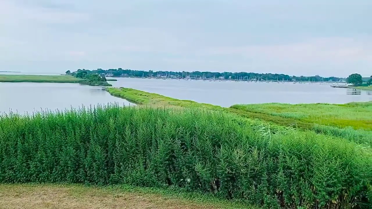 North Cove - Old Saybrook, Connecticut .
