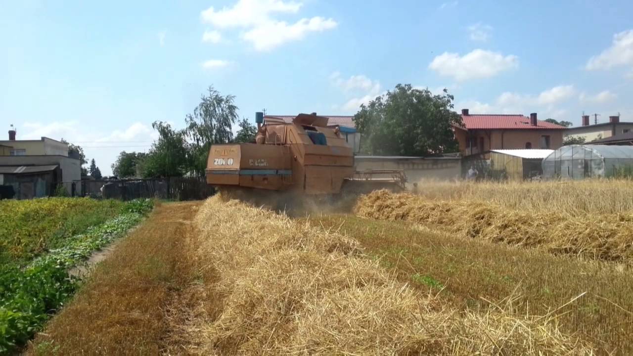 BIZON Gigant Z061 z hederem 6m.