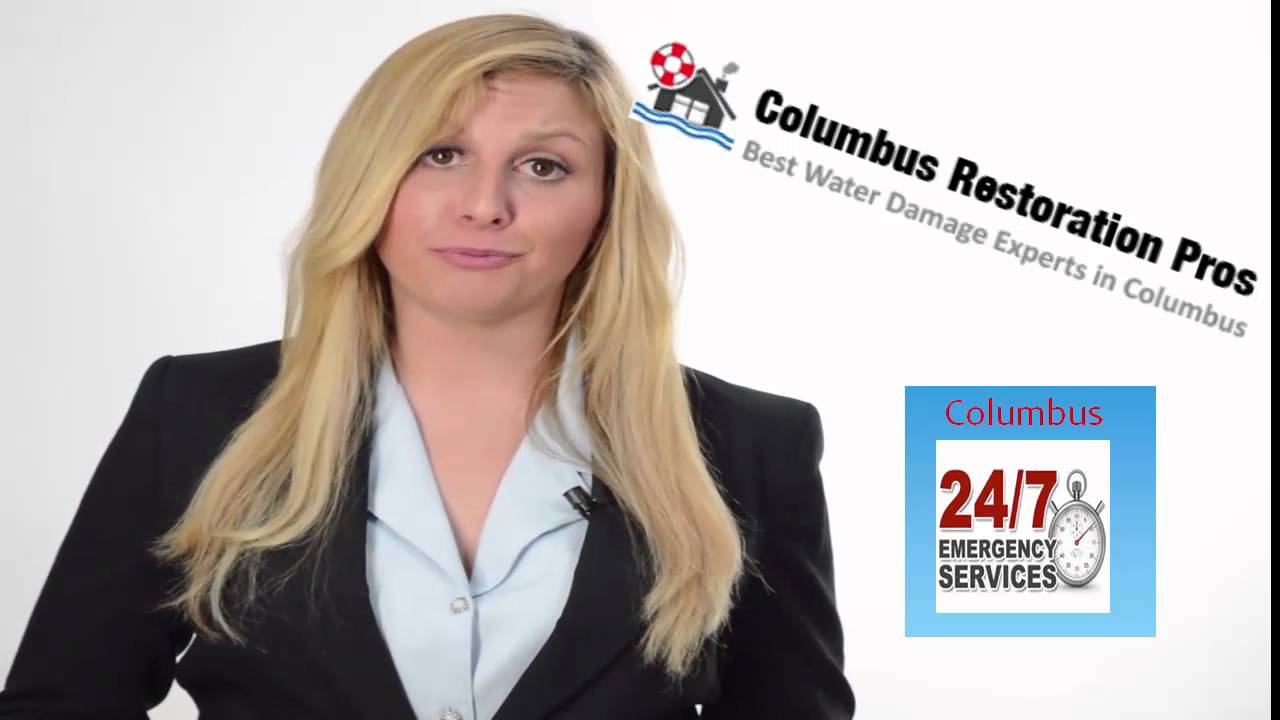 London OH Mold Removal and Mold Remediation Restoration Experts