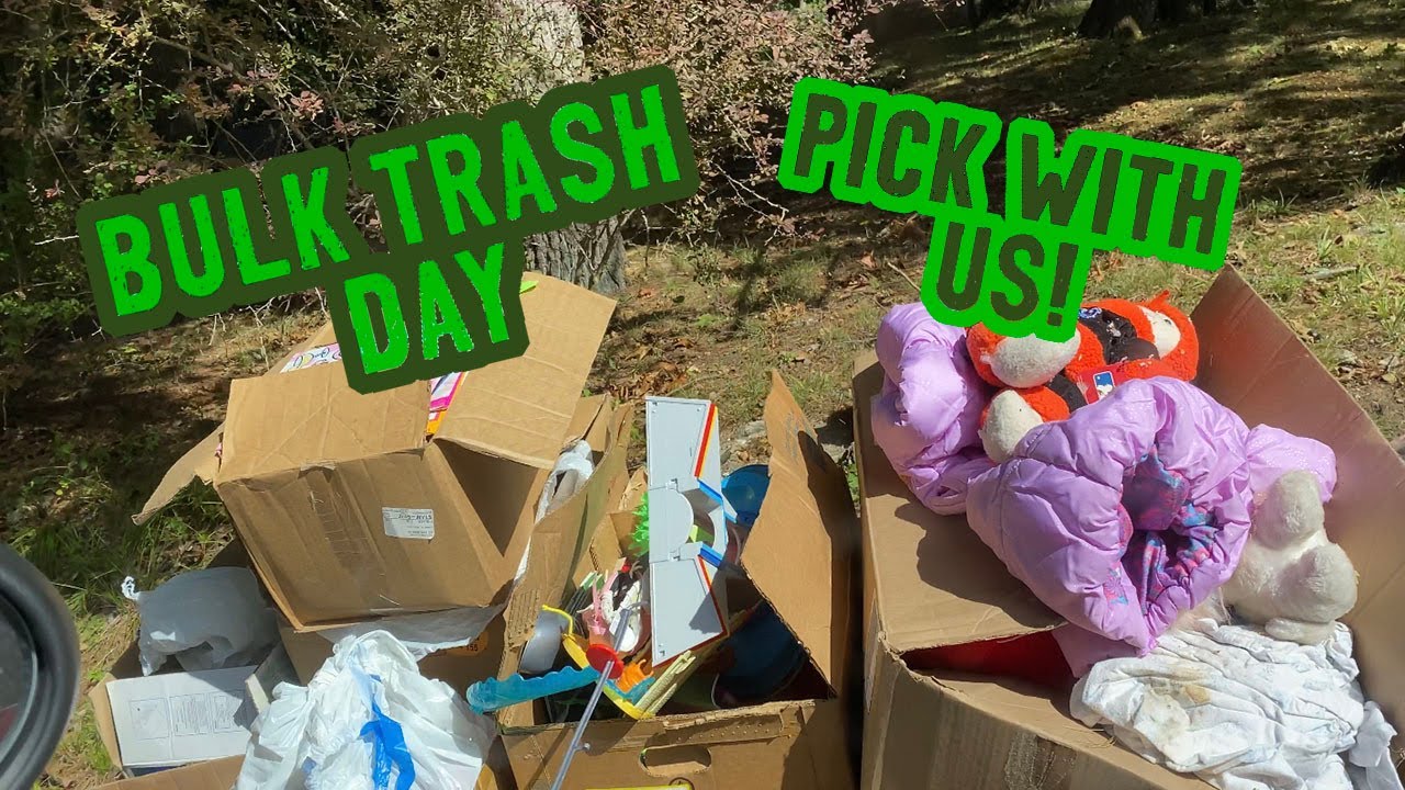 Trash pick with us! What did we find for FREE in the garbage!