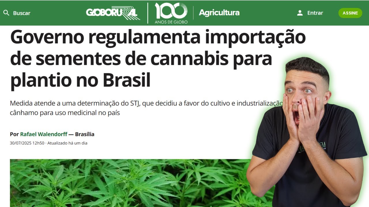 Brasil regulamenta a importação de sementes