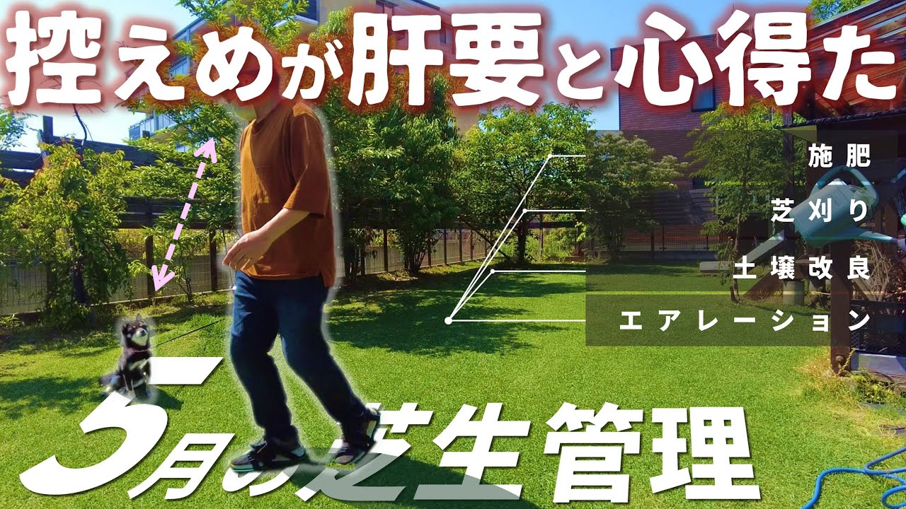 【5月芝活】絶好調！