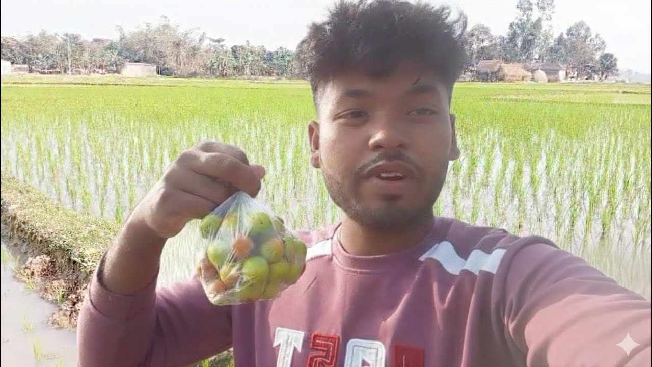 গ্রামের পরিবেশ তুলে ধরলাম আপনাদের মাঝে 🌾🌾#viral 