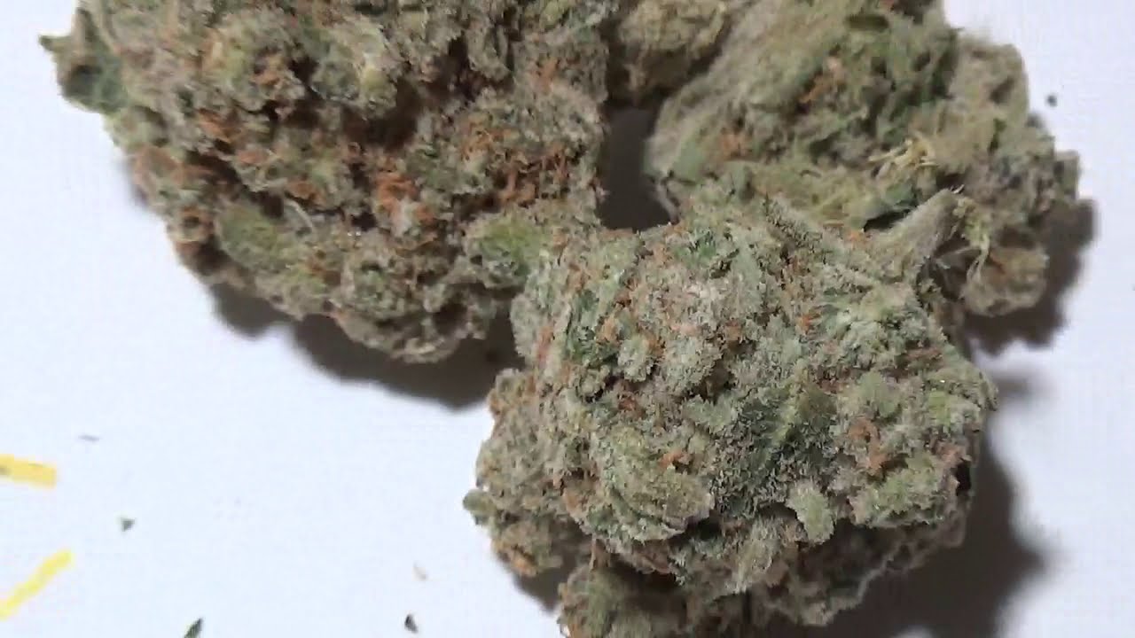 B.C Bud DiaryR33eA x Donkey Dick x Unicorn Poop x Pineapple Chunk x Daddy Cookies Shart