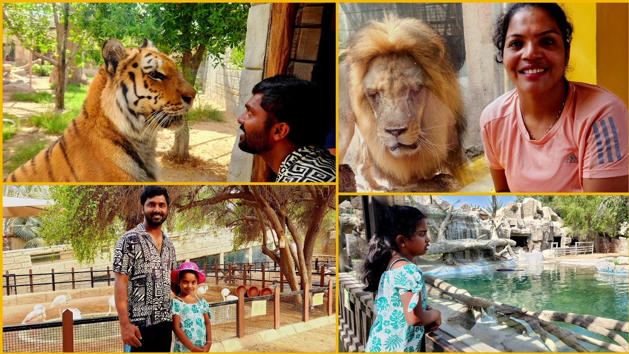 Emirates Park Zoo and Resort Abu Dhabi|| Vlog||Staycation||Animal feeding&activities