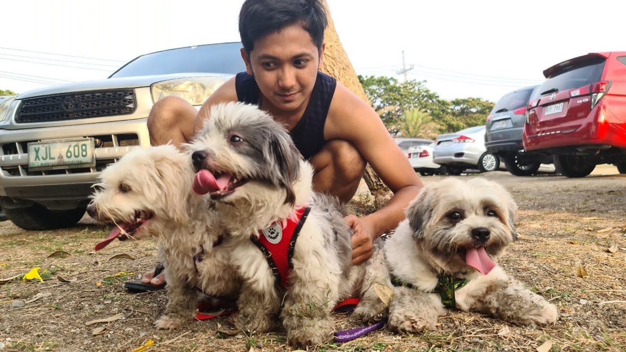 PET FUEL-primary probiotic