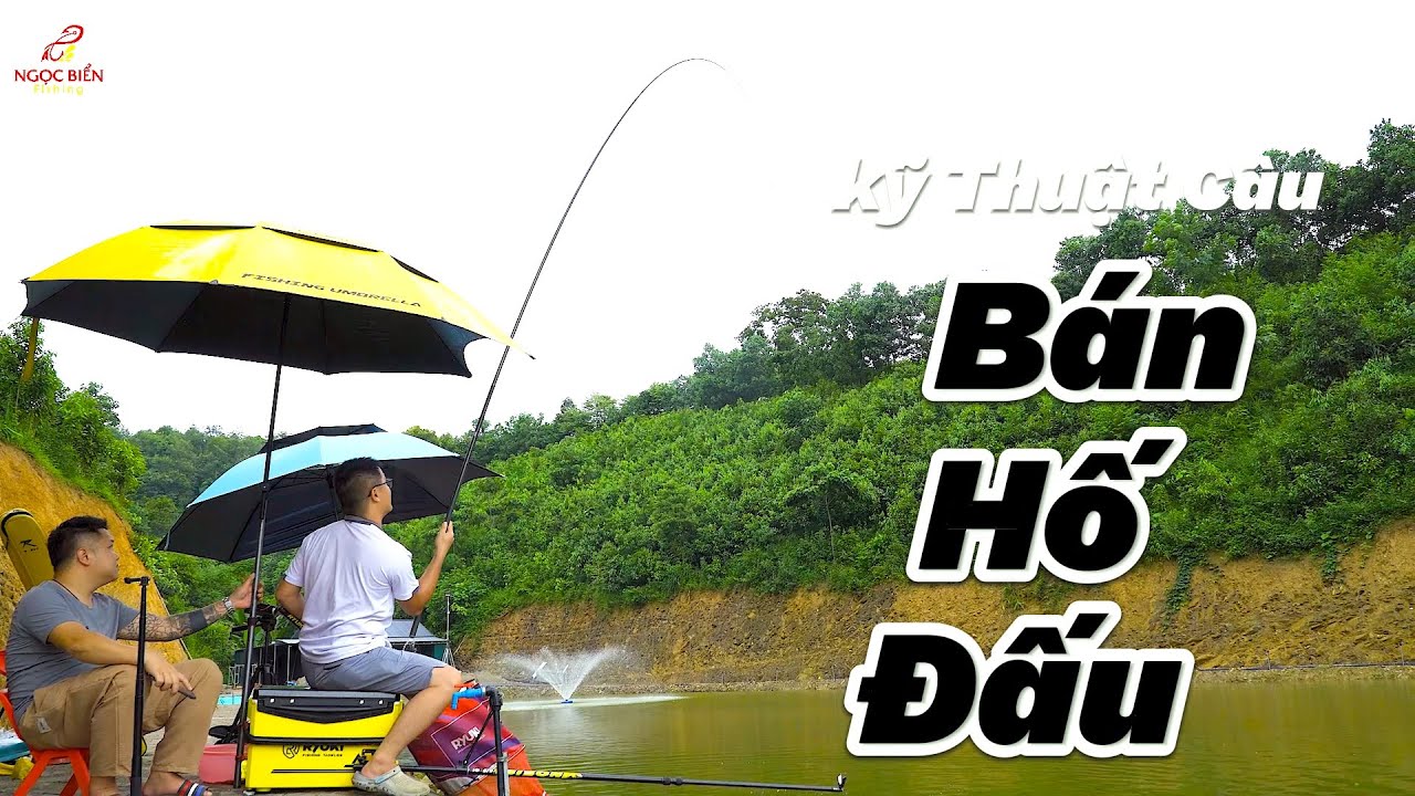 Cách câu bán hố đấu - câu hố đấu hành trình - Ngọc Biển Fishing