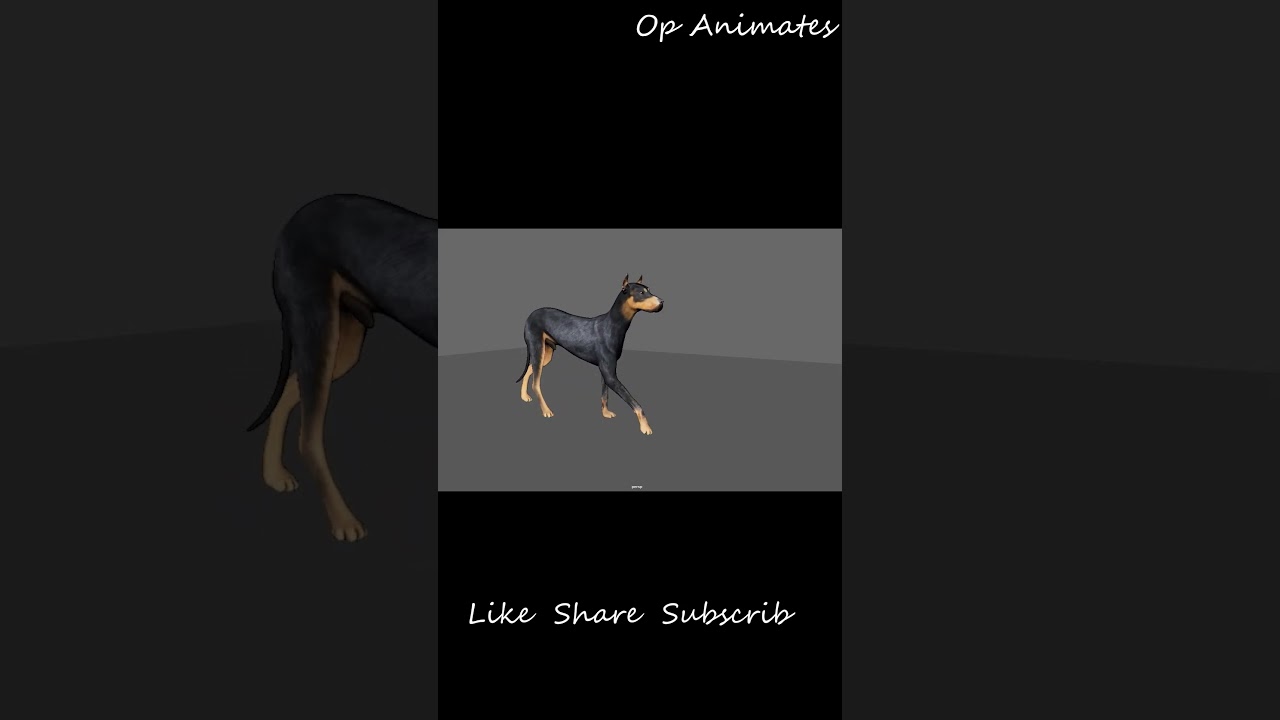 dog walk cycle 3d Animation #share #shorts #youtubeshorts #trending
