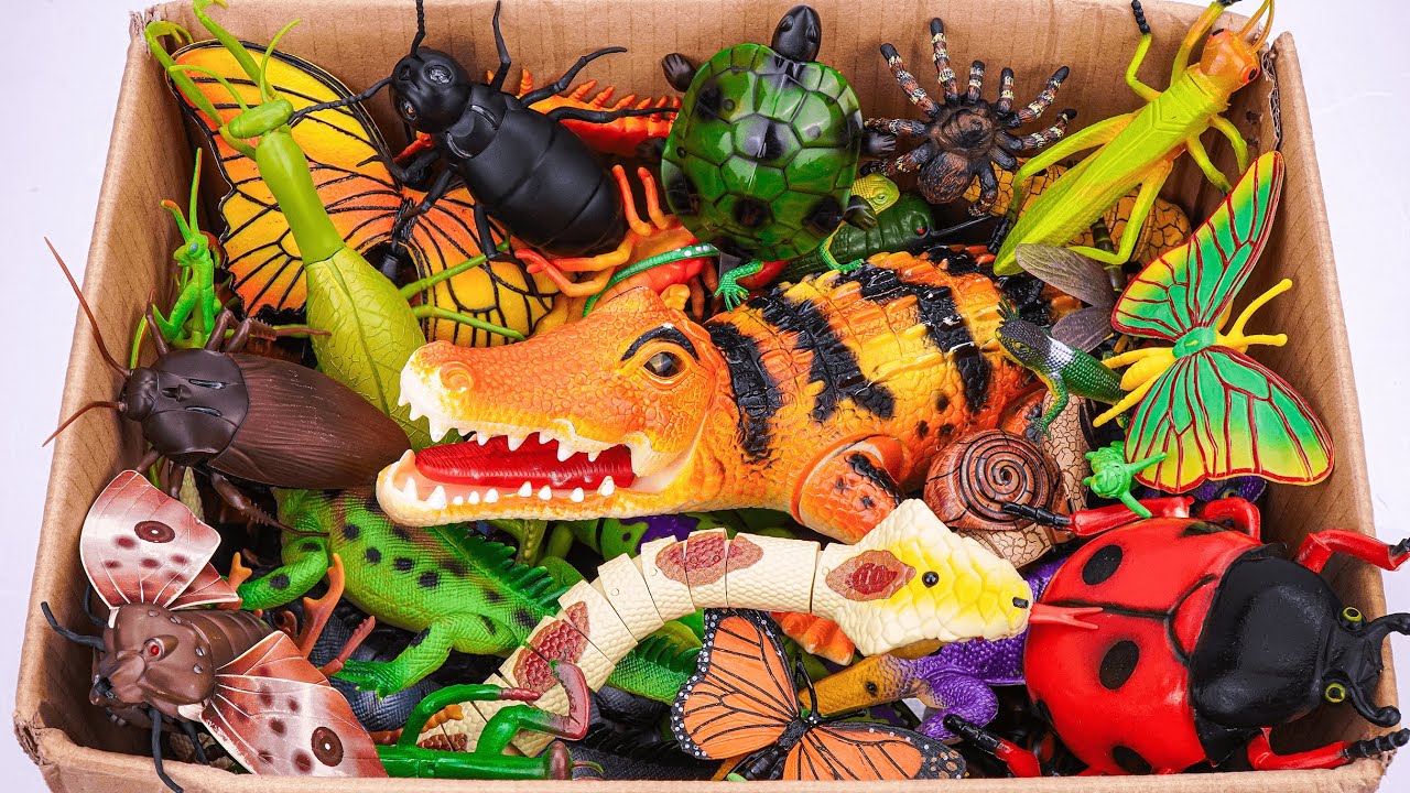 ZURU ROBO ALIVE COLLECTION | UNBOXING Robo Crocodile, RC Butterfly, RC  Milk Snake Compilation ASMR