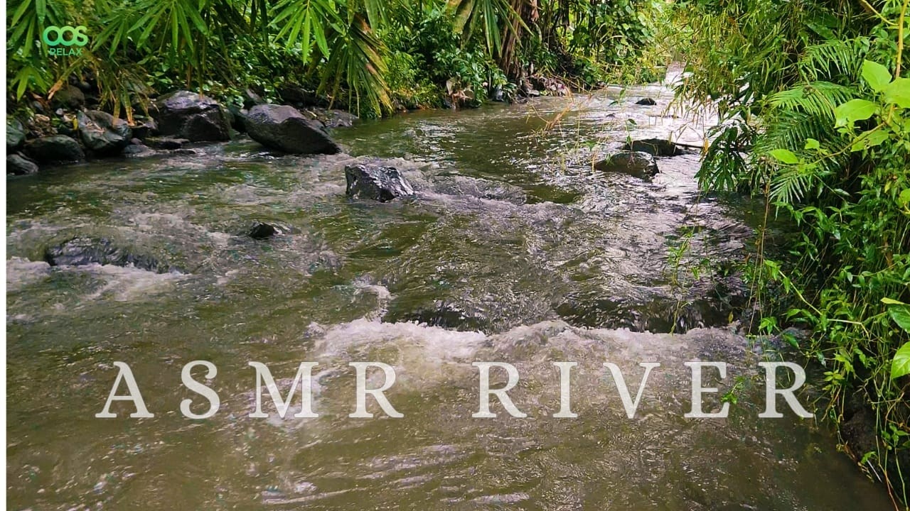 Relaxing River Current: ASMR Fall Asleep Quickly with Calming Water Sounds