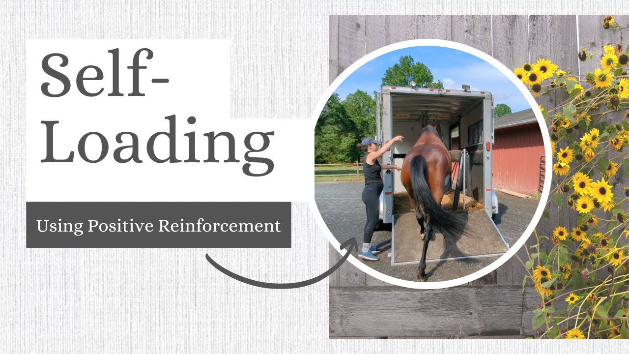 Training Self-Loading with Positive Reinforcement