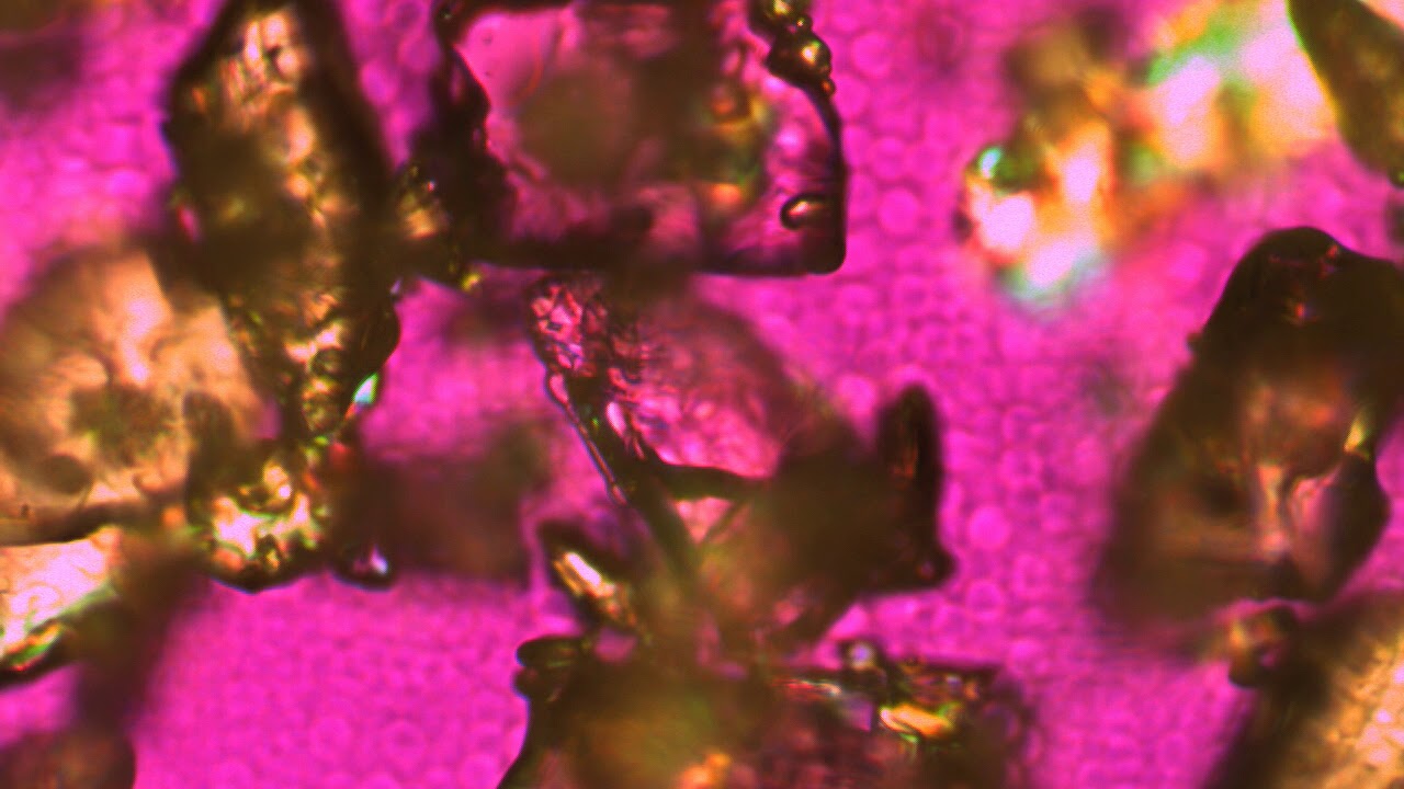 Hot stage microscopy video of the melting point standard Vanillin