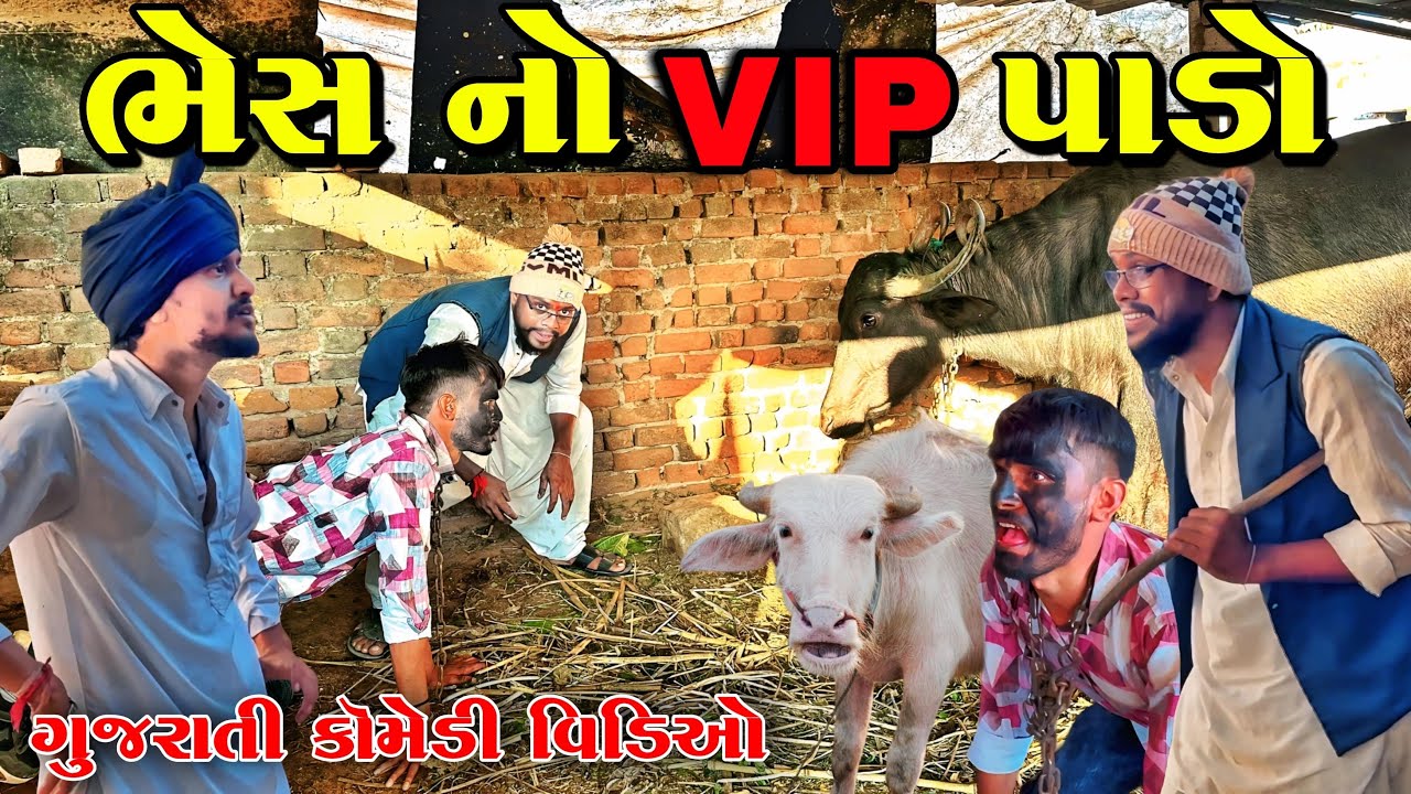 ભેસનો