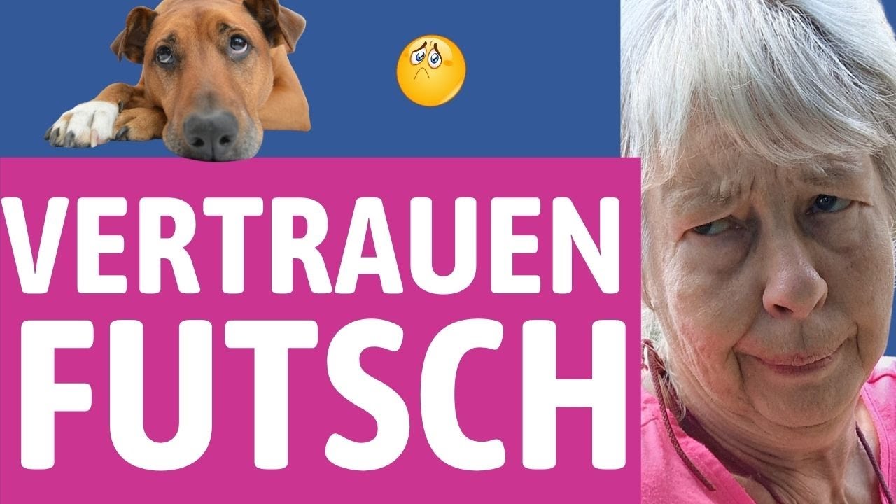 Selbst schuld, wenn dein Hund dir nicht vertraut - ⛔ Mach das auf keinen Fall