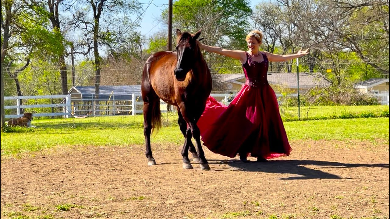Bella & Barbara - Whatever You Imagine - Liberty Horse Freestyle