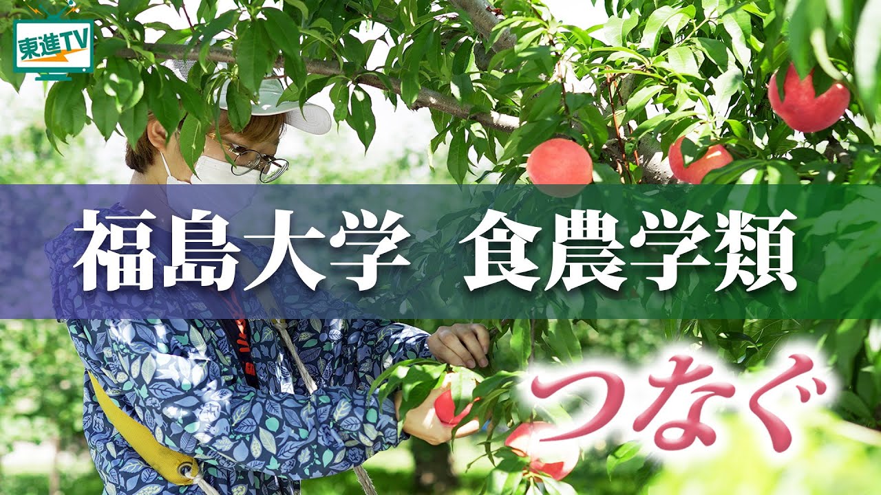 福島大学｜“食農学類”って農学部とどう違うの？食・農・地域を幅広く学べる実践的な学び！ #復興 #食農