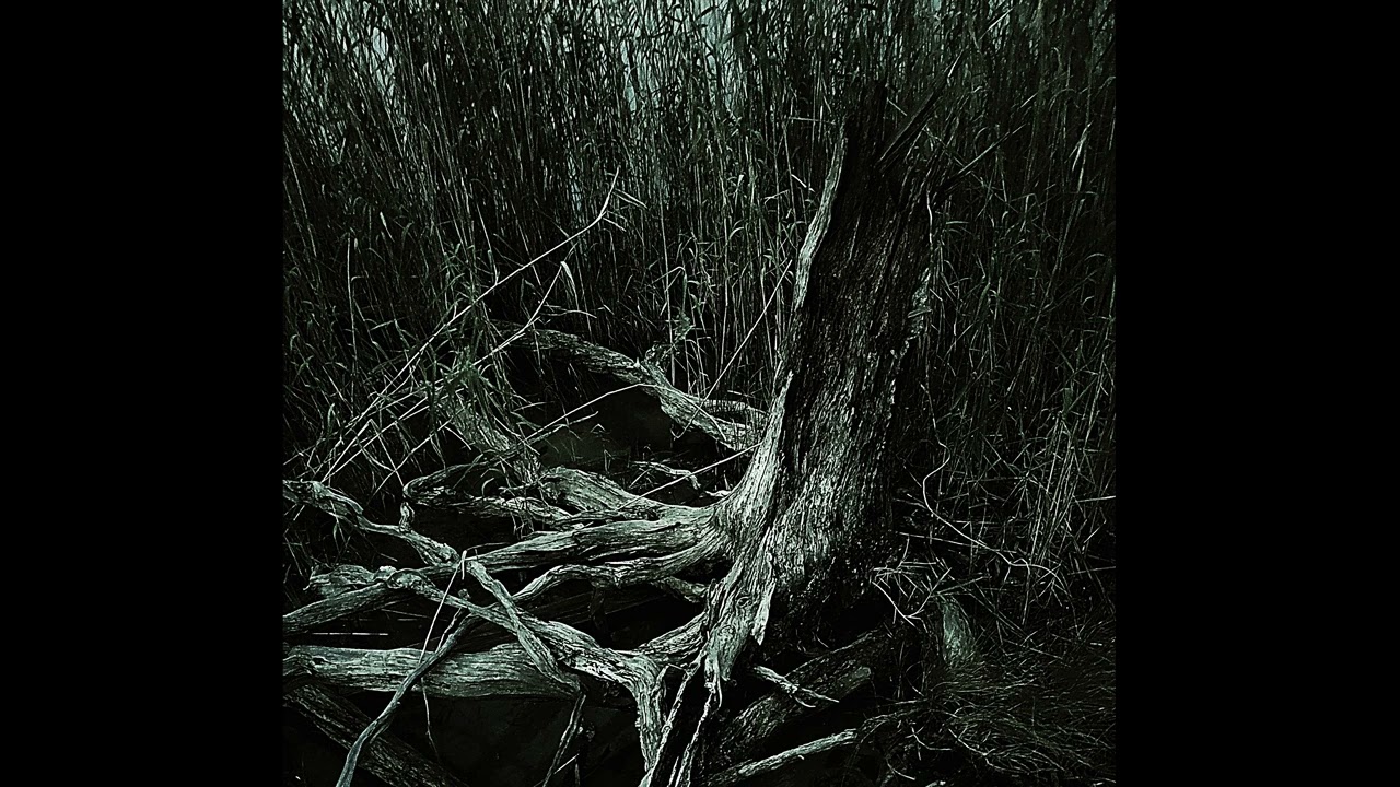 Flittering- Oblivion Deprivation [Single]