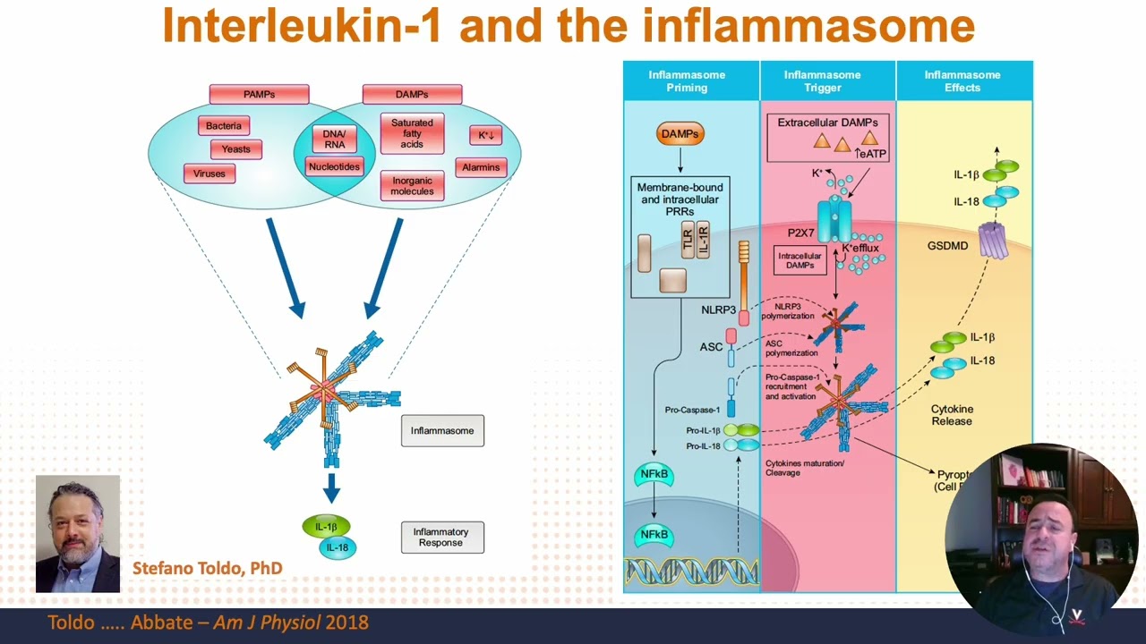 A. Abbate | IL-1 inflammasome pathway in Cardiovascular disease