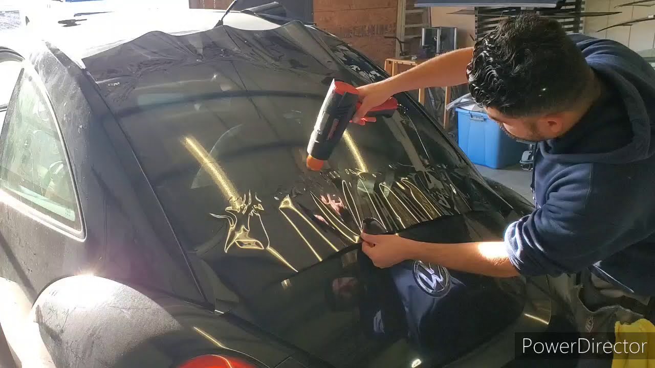 volkswagon bettle window tint