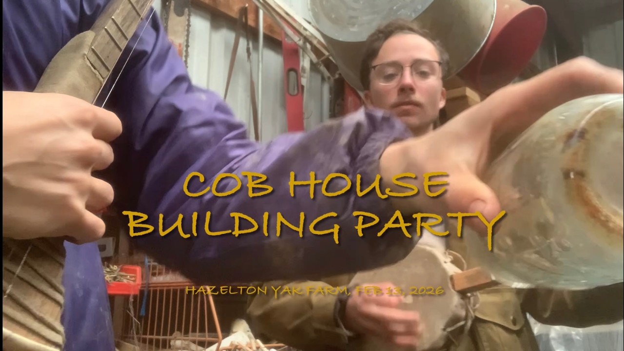Valentines Cob Build