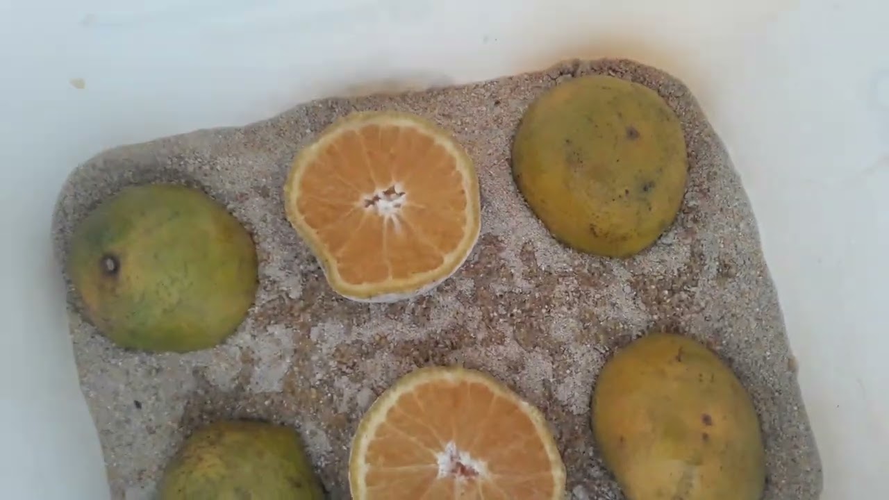 BICHINHO DA LARANJA- A PROCURA AUMENTOU E AGORA?