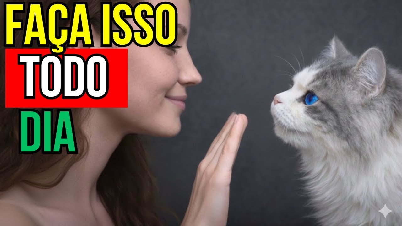 Faça essas 6 coisas todo dia e seu gato se sentirá amado 💖