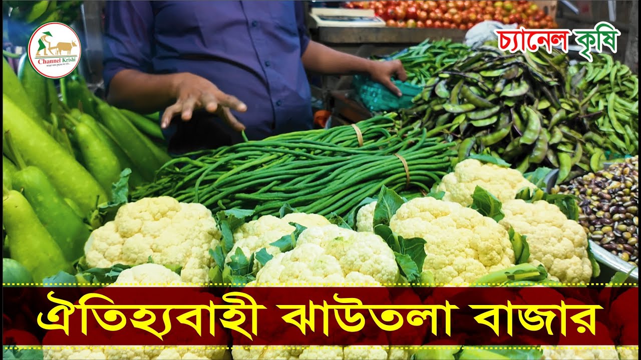 ঝাউতলা বাজার | Jhawtola Bazar | ঐতিহ্যবাহী বাজার | Chattogram | Krishi Vlog | Channel Krishi