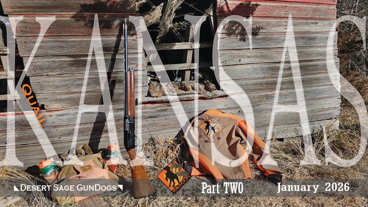 Kansas Quail 2026 Part 2