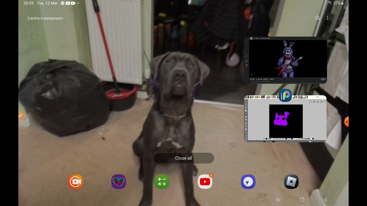 Drawing bonnie from 5 nights at freddyw