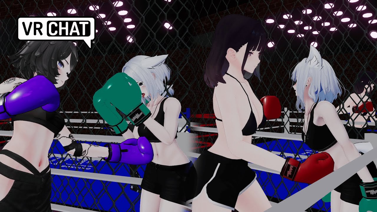 Fox getting a beating VRchat BOXING
