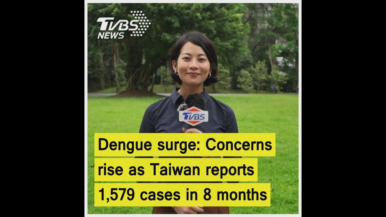 Taiwan fights against dengue outbreak amid higher temperature and typhoon season