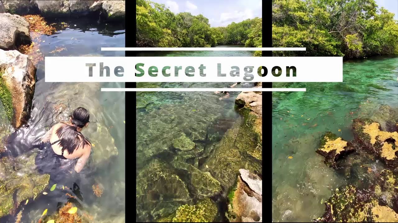Grand Sirenis Riviera Maya Mexico | The Secret Lagoon | Best Snorkeling | Part 3