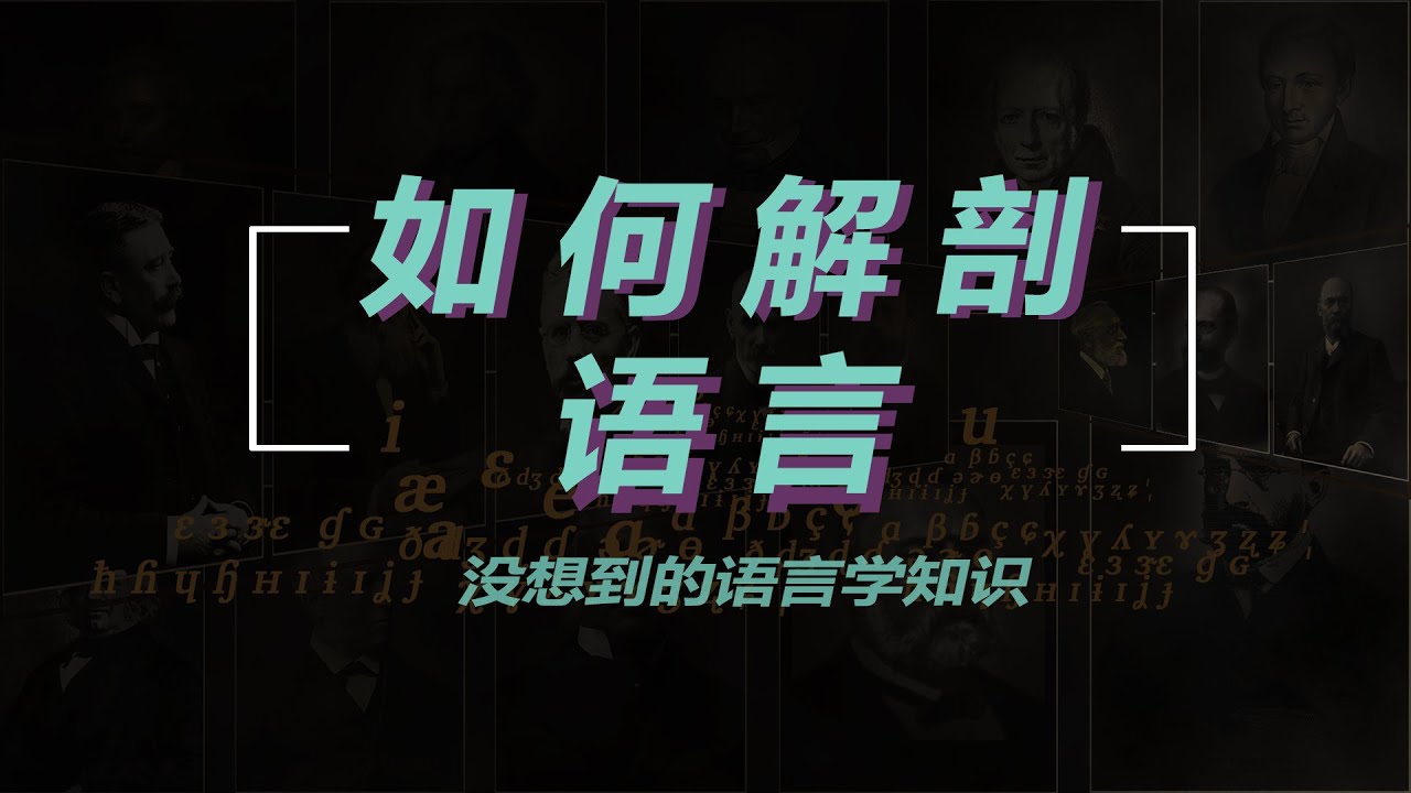 【语言学专供】的语言学基础概念 语言符号系统的结构与特征Key concepts in linguistics