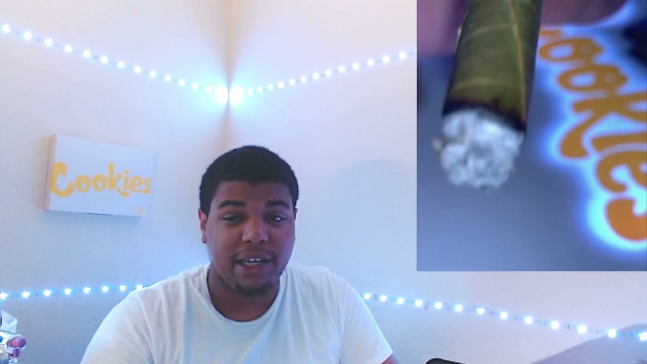 King Palm Review