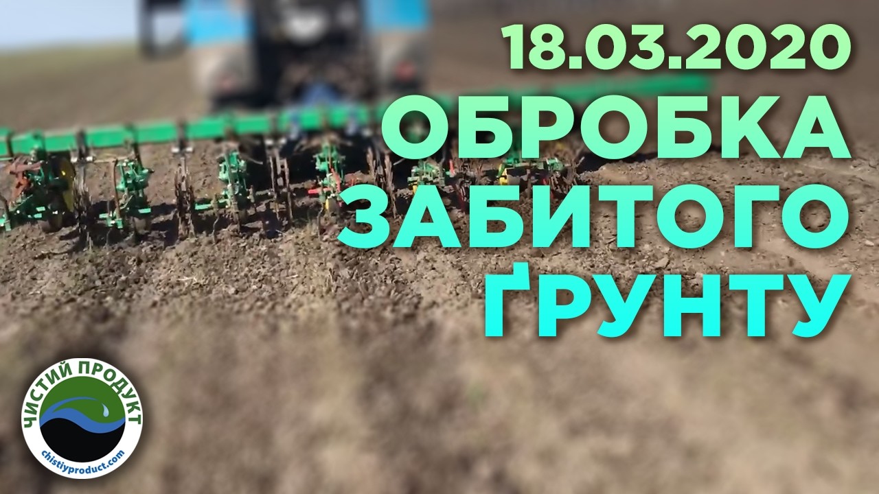 АРХІВ. Міжрядна обробка часнику повітрянкою: як зберегти всі сходи