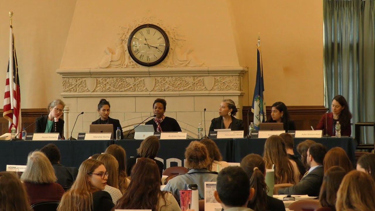 CPILJ Symposium 2024 - Panel 2: Reform Efforts and Implementation