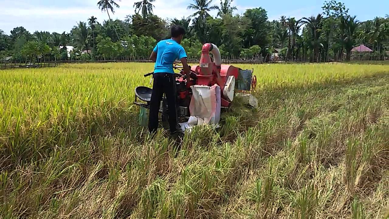 Pemanen Padi Mini ACEH