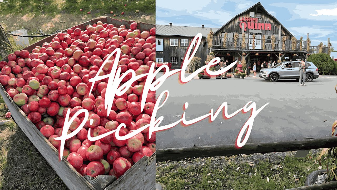 Fall’s Sweetest Treat 🍎 Apple Picking Adventure!