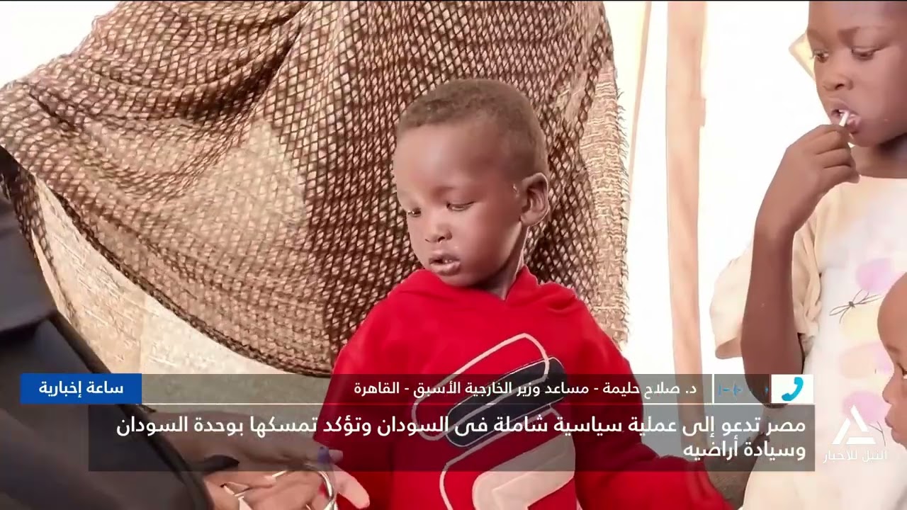 د. صلاح حليمة : تطورات الأوضاع فى السودان تدفع إلى التحرك ديبلوماسيا لتأكيد وحدته الاقليمية