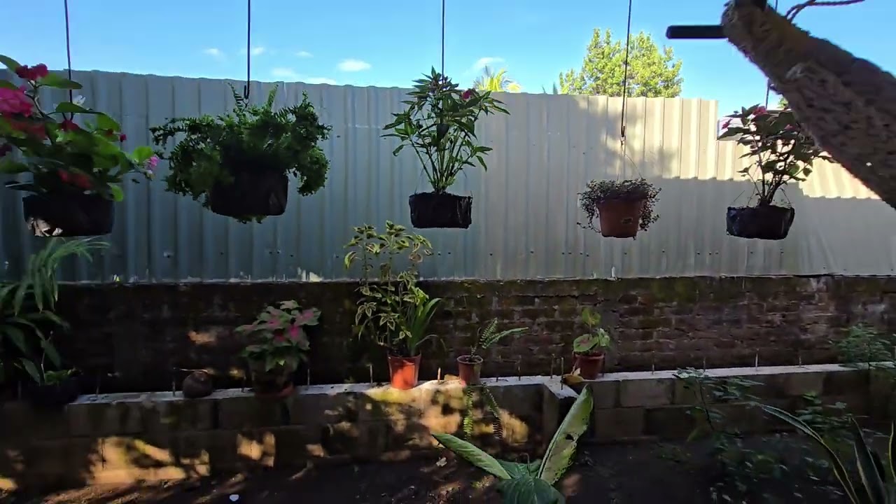 mi cuñado ya me iso mas grande el jardín