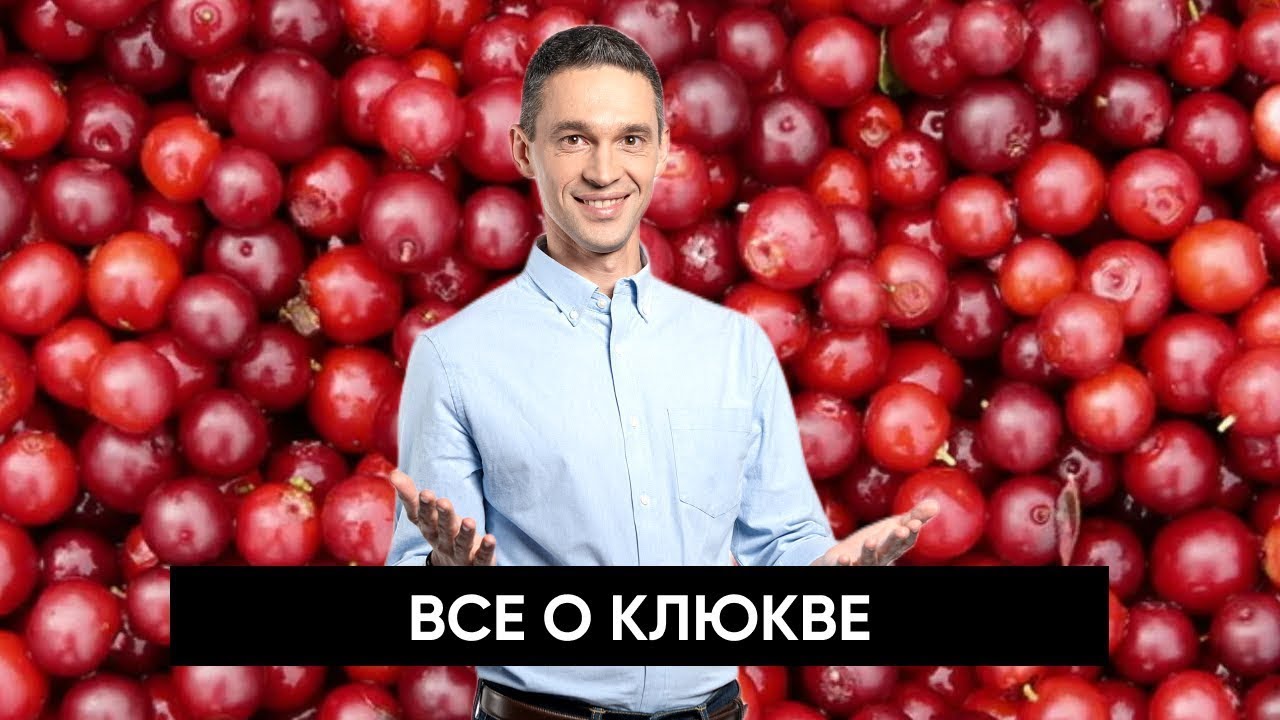 В ЧЕМ ПОЛЬЗА КЛЮКВЫ?