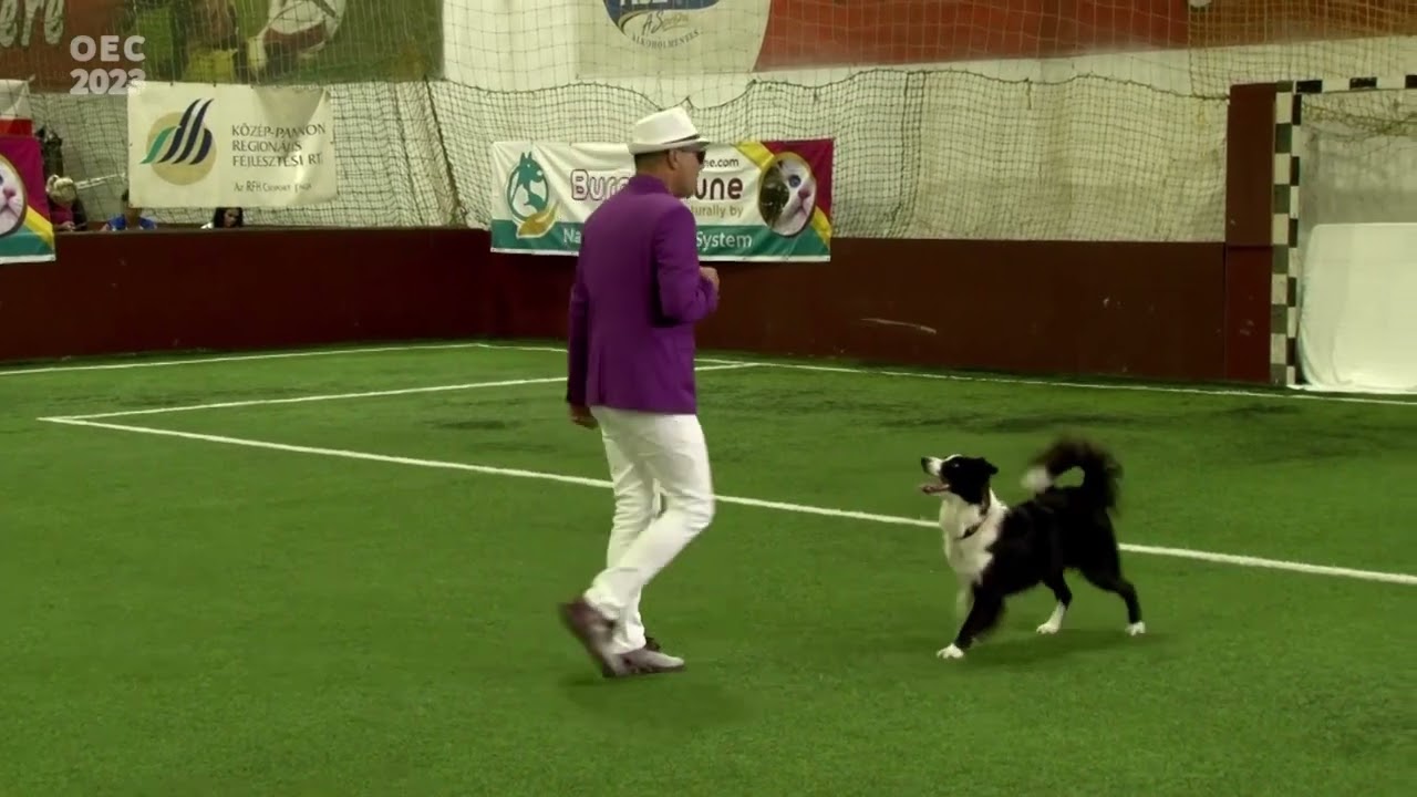 Dog Dancing European Championship 2023 Hungary  - Freestyle Qualification - Dan Daragiu & Giada