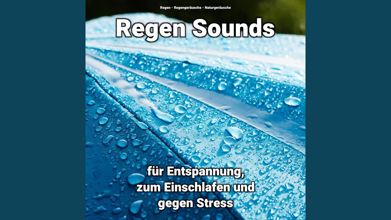 Regen gegen Hundebellen