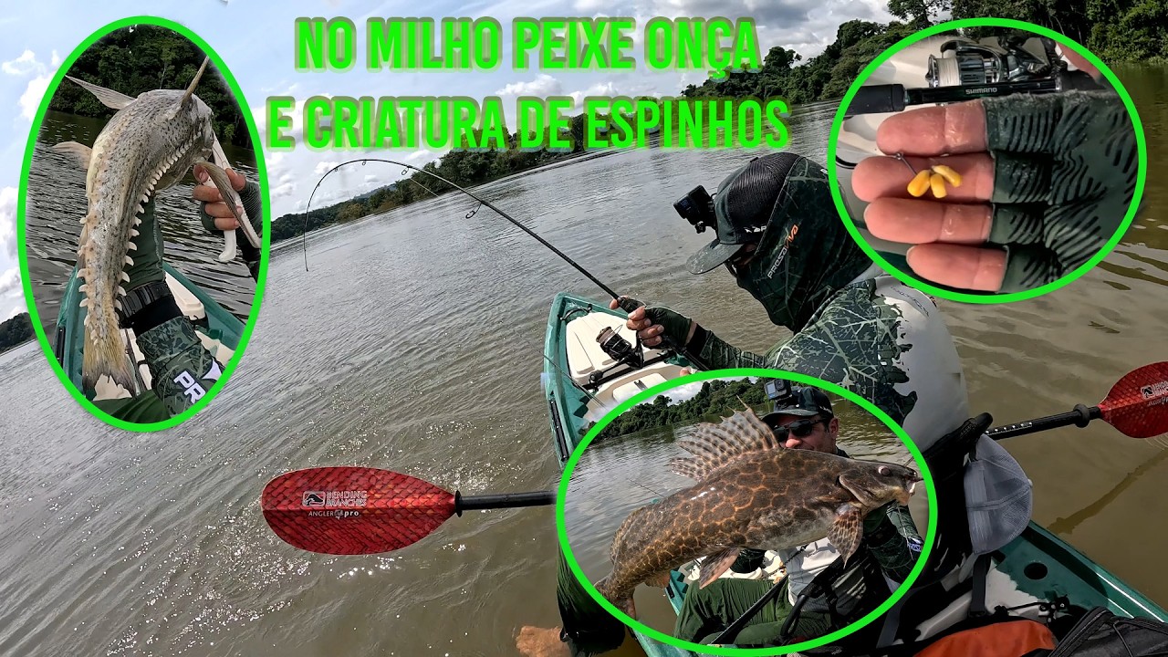 PEIXE COM PELE DE ONÇA E CRIATURAS DE ESPINHOS, TUDO NO MILHO!